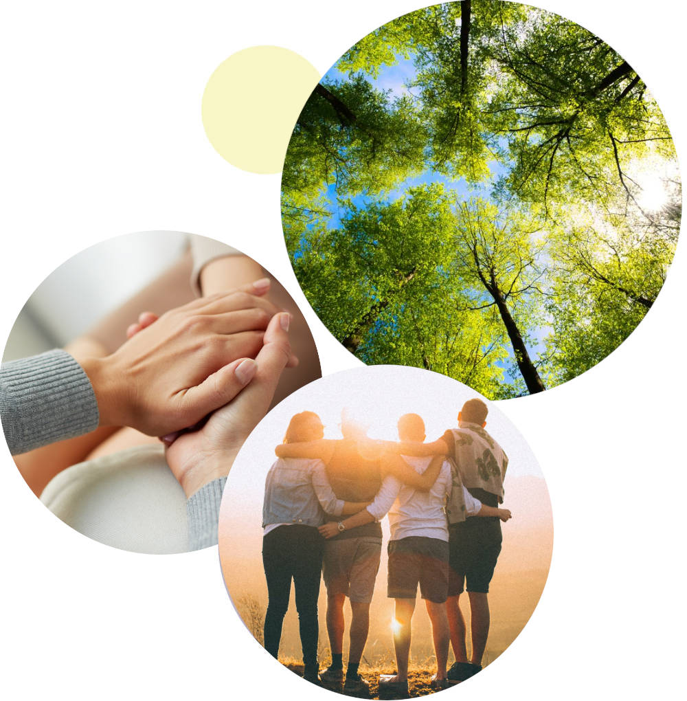 photos d'appartements